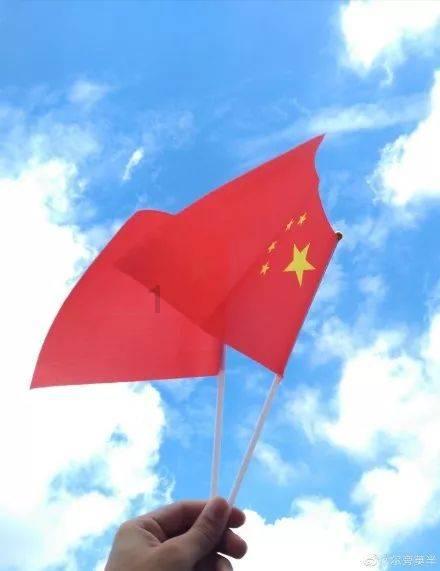 救援受困的老虎